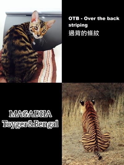 Slide 7