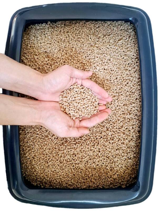 Cat Litter 4
