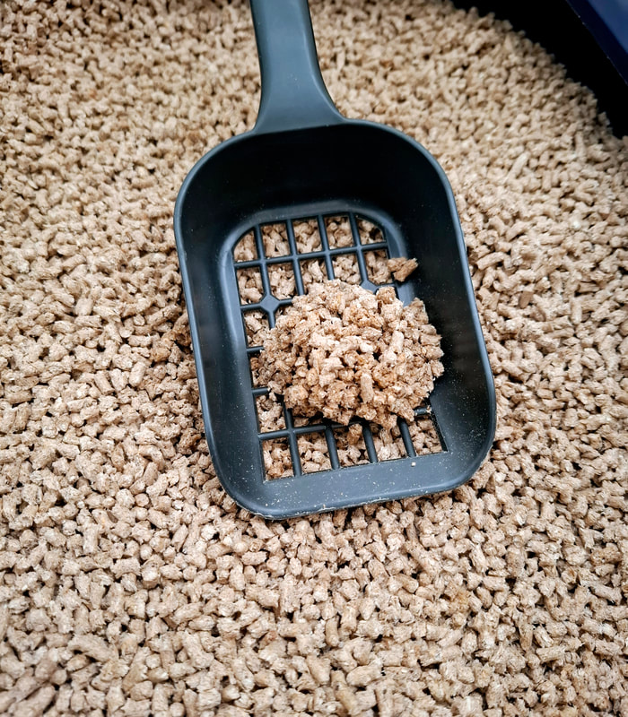 Cat Litter 3