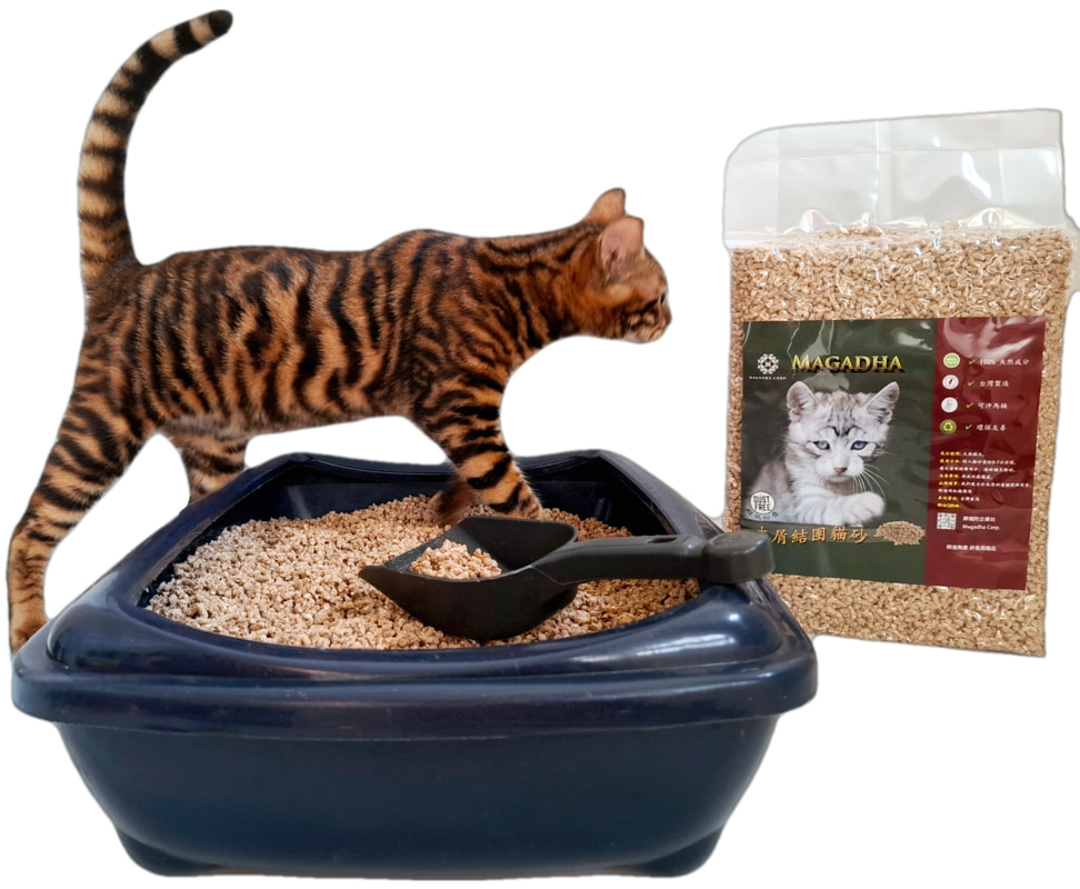 Cat Litter 1